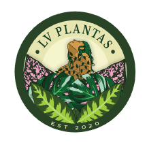 LV Plantas