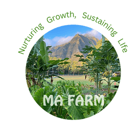 Ma Farm/ Food First Nursery
