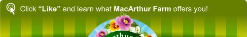 MacArthur Farm