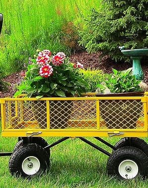 Maccabi Nursery