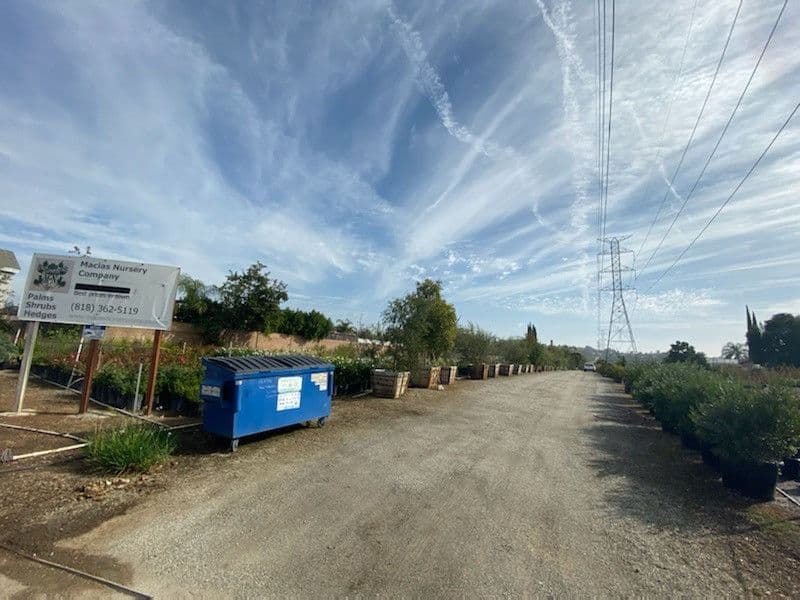 Macias Nursery