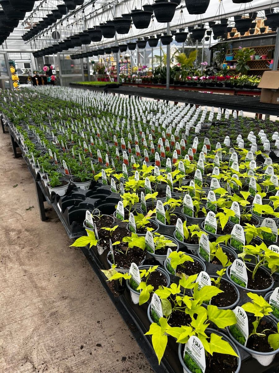 Mackeyville Greenhouse and Marketplace