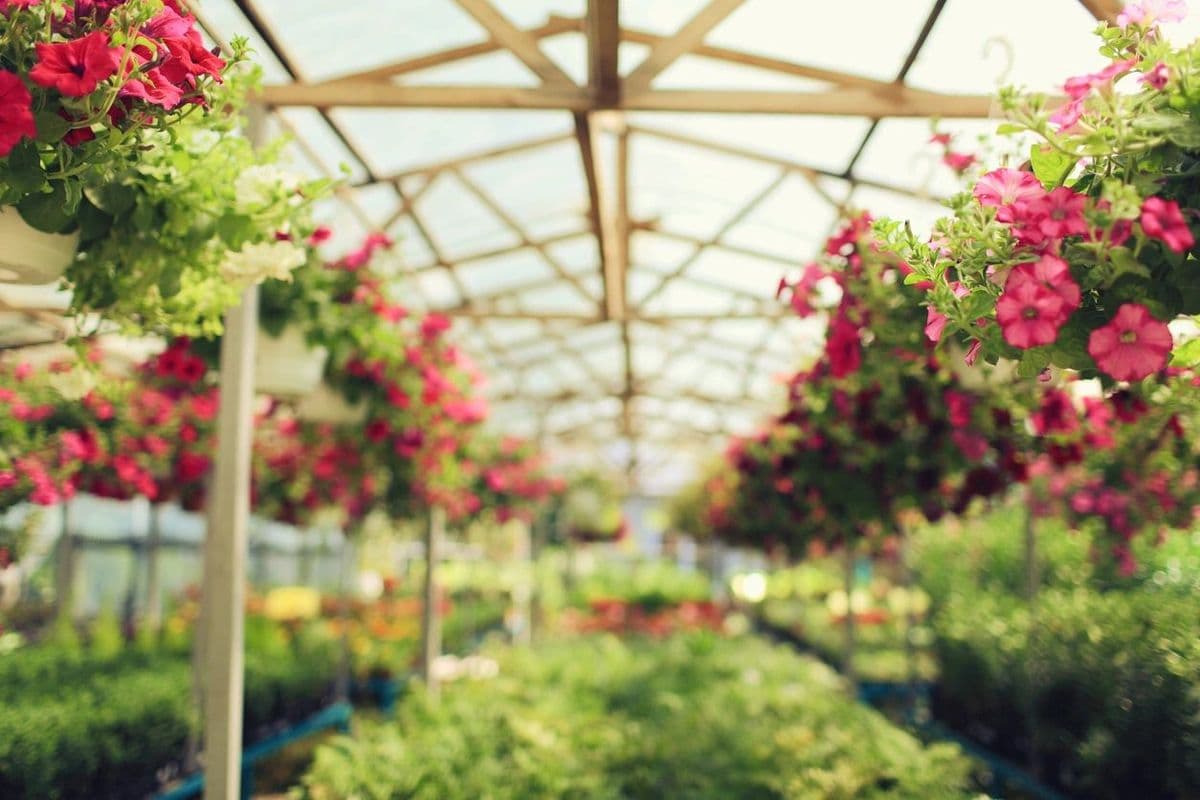 Madison Heritage Garden Center