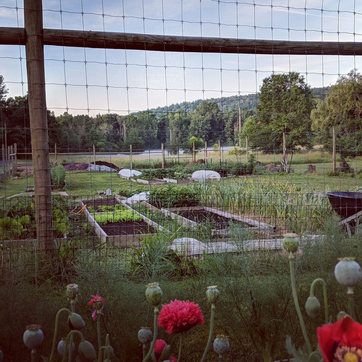 Maggie's Farm Gettysburg