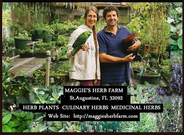 Maggie's Herb Farm