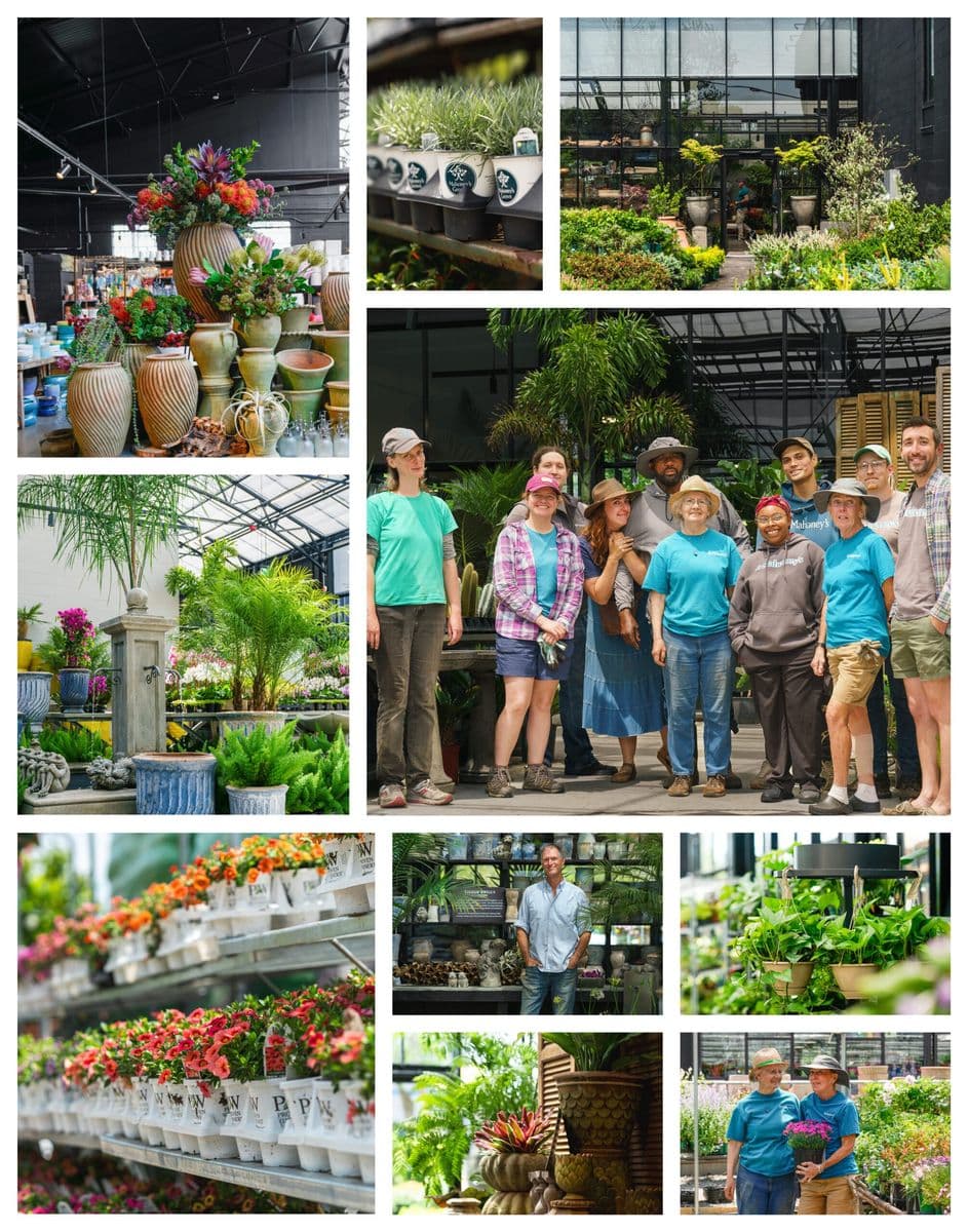 Mahoney's Garden Center
