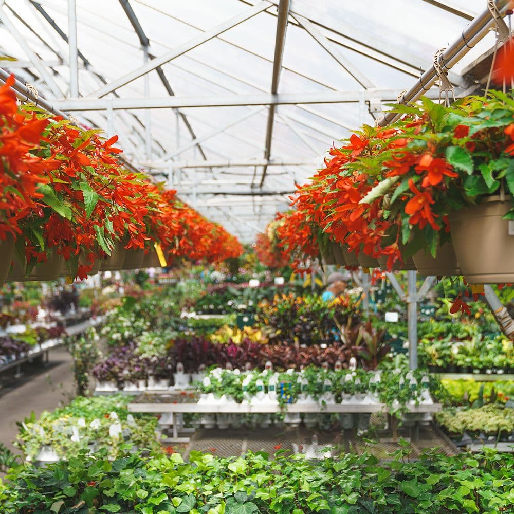 Mahoney's Garden Center