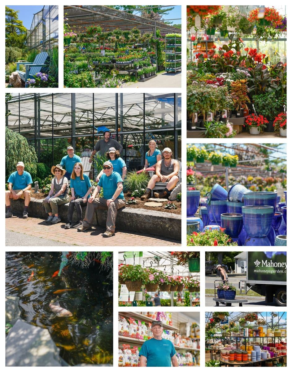 Mahoney's Garden Center