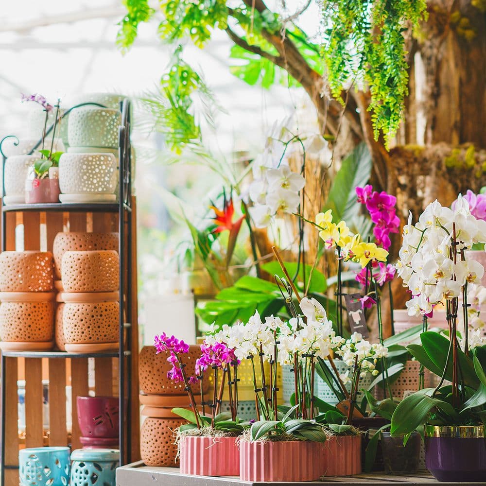 Mahoney's Garden Center