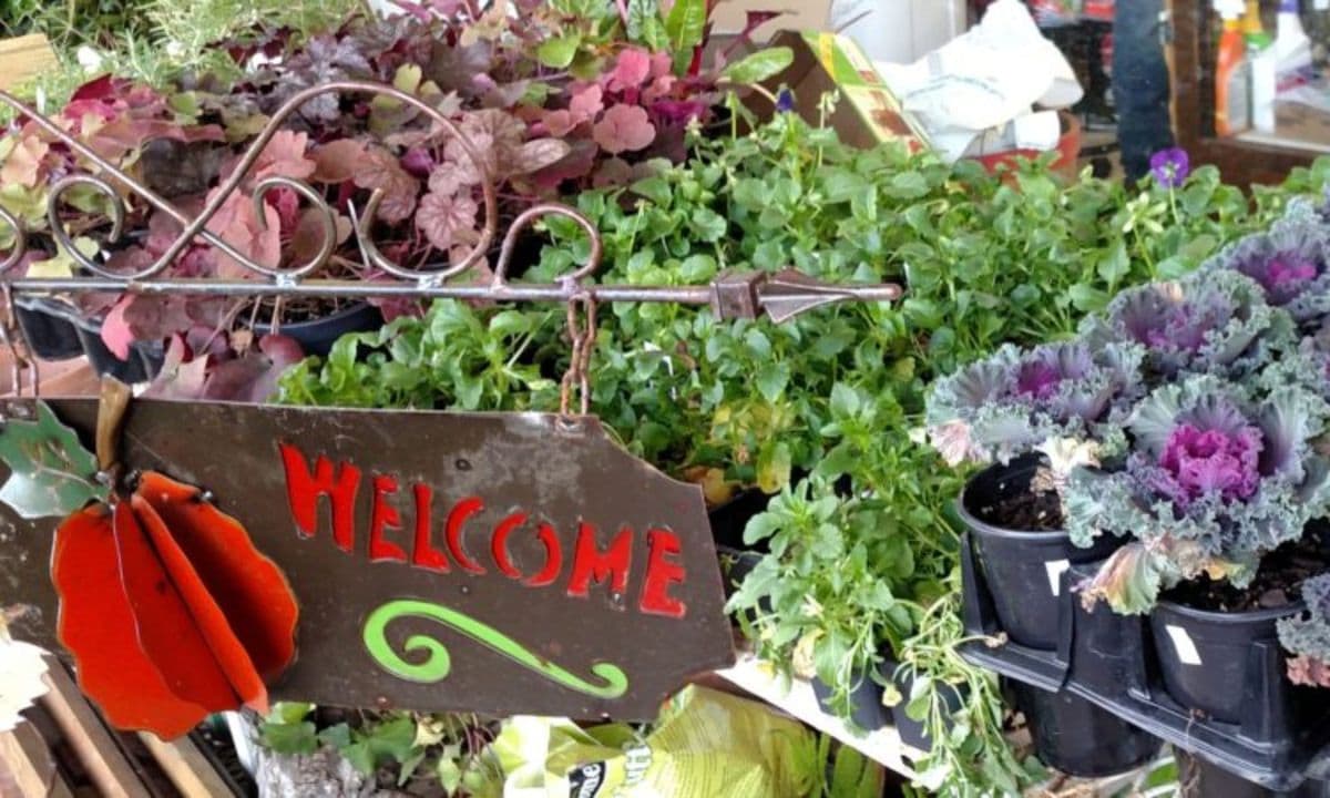 Main Street Lawn & Garden