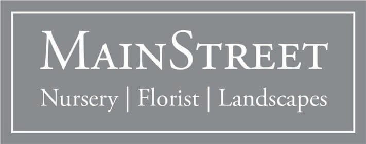 Main Street Nursery