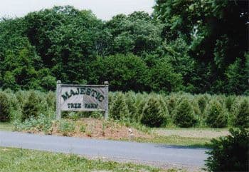 Majestic Tree Farm