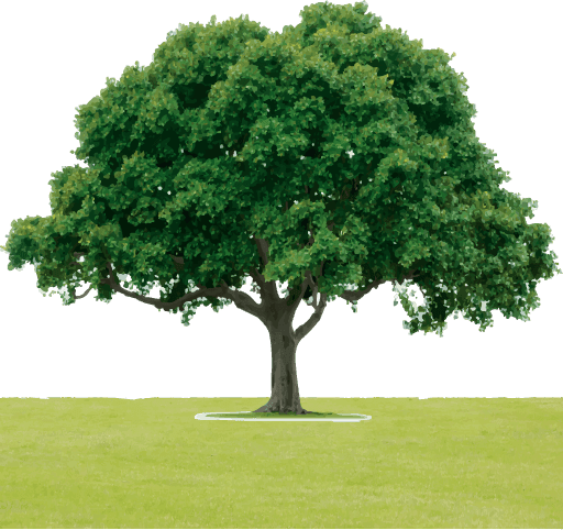Major Tree Farm