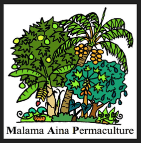 Malama Aina Permaculture Homestead