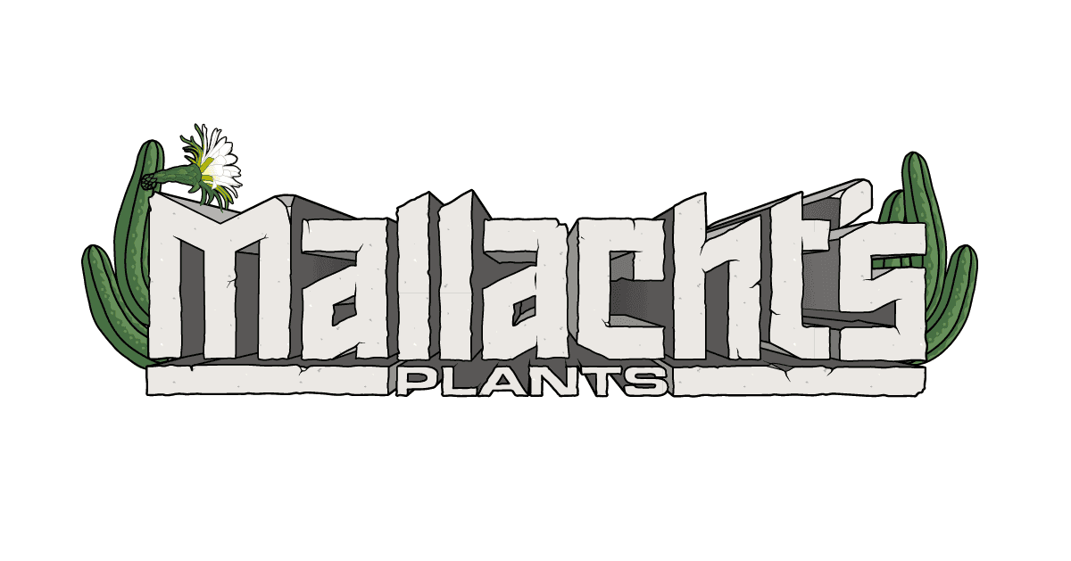 Mallacht's Plants