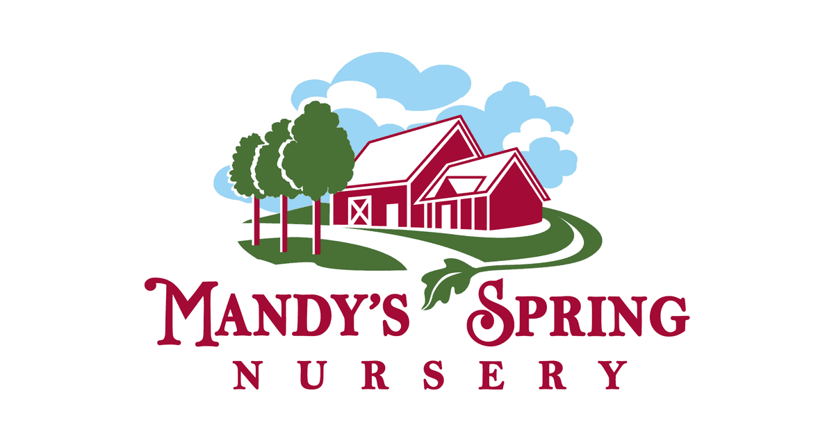 Mandy's Spring Nursery