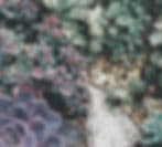 Manhasset Florist & Beyond (Manhasset Florist)