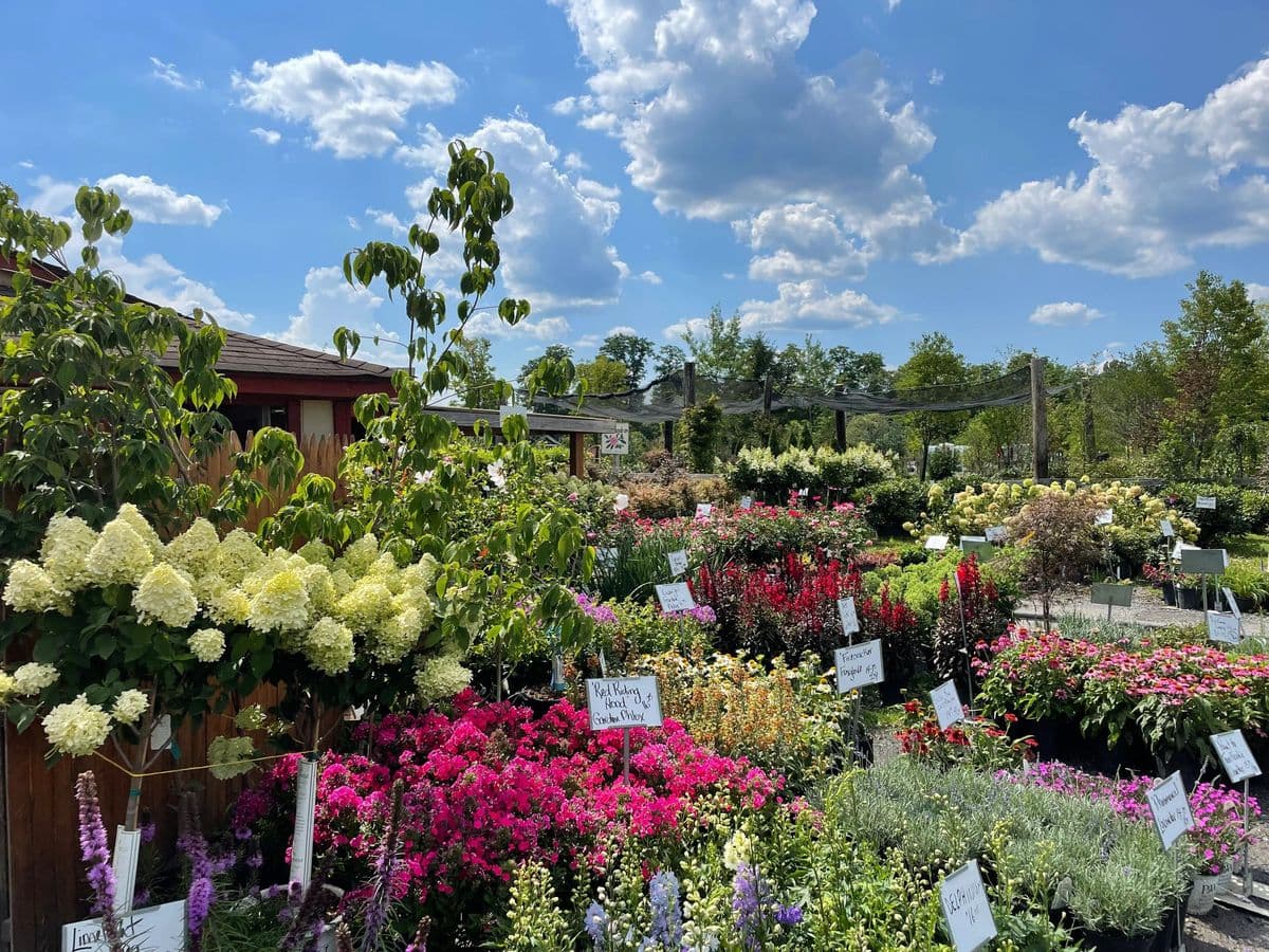 Manza Farm and Garden Center, Inc.