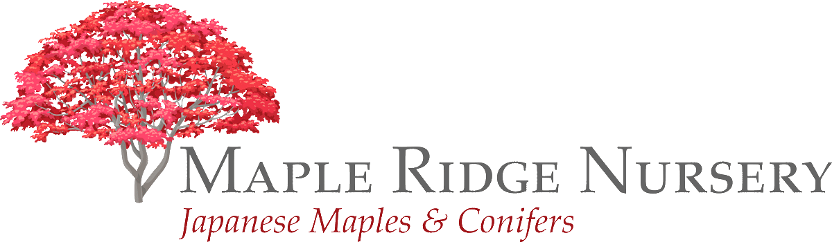 Maple Ridge Nursery