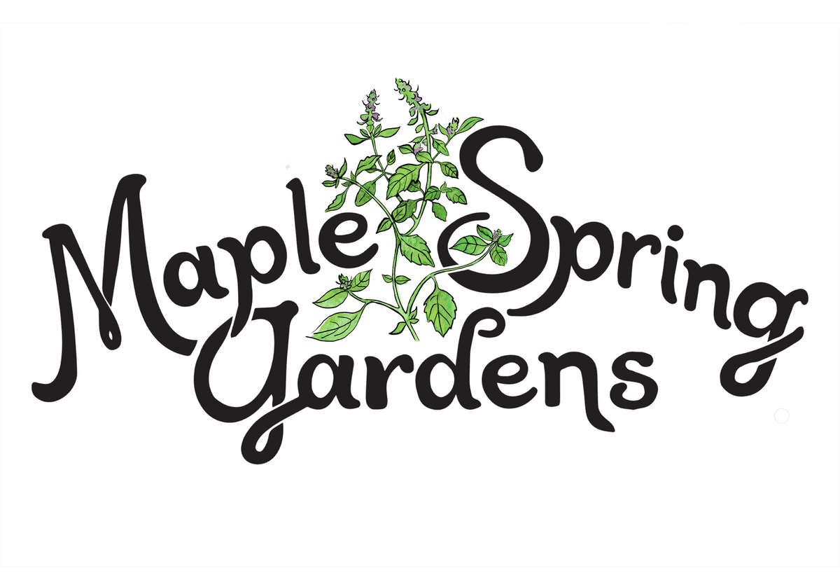 Maple Spring Gardens