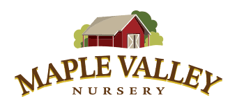 Maple Valley Nursery LLC