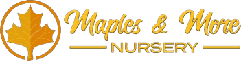Maples And More Nursery