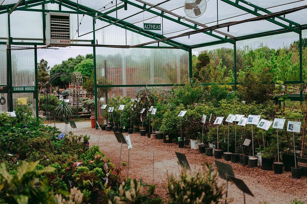 Marcum's Nursery