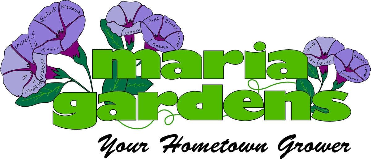 Maria Gardens Nonpublic Wholesale Greenhouse