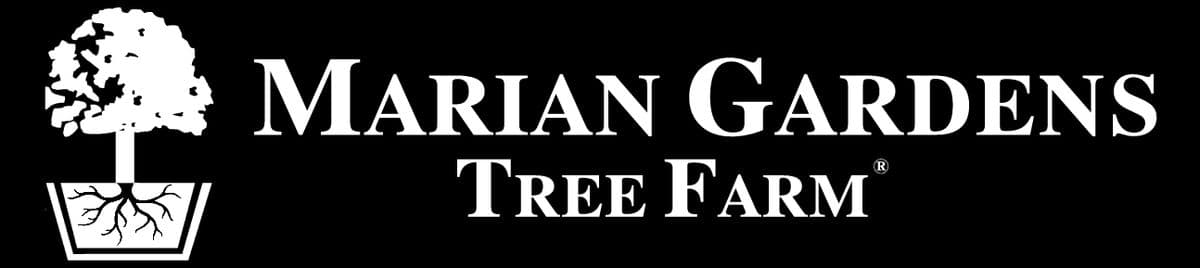 Marian Gardens Tree Farm
