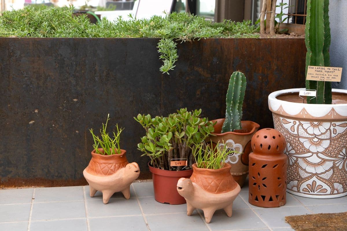 Maricopa Botanicals Plant Shop