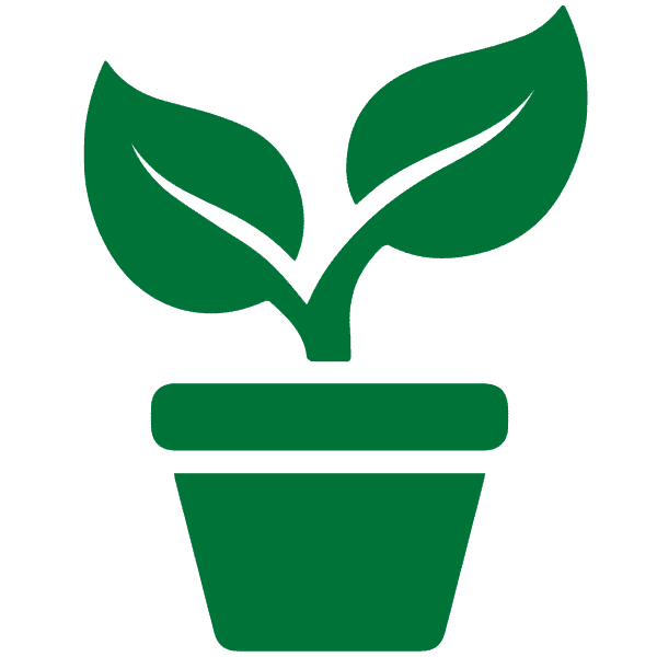 Mario Fischetti Nursery