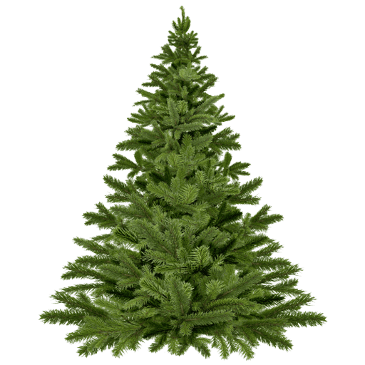 Marshall Tree Farm