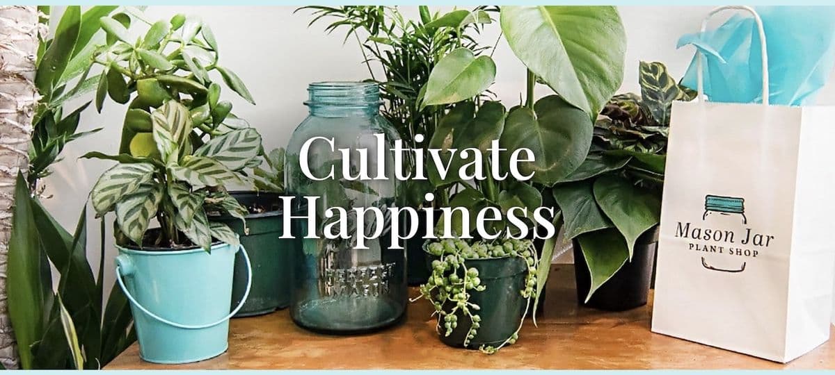 Mason Jar Plant Shop
