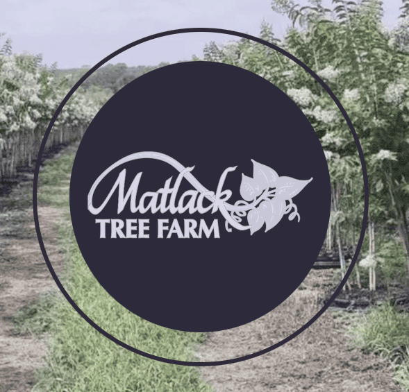 Matlack Tree Farm