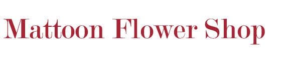 Mattoon Flower Shop, Inc.