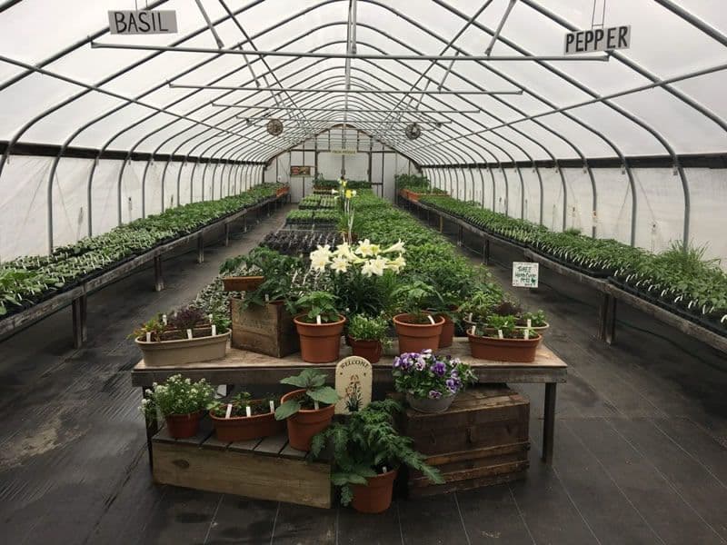 Matts Organic Gardens