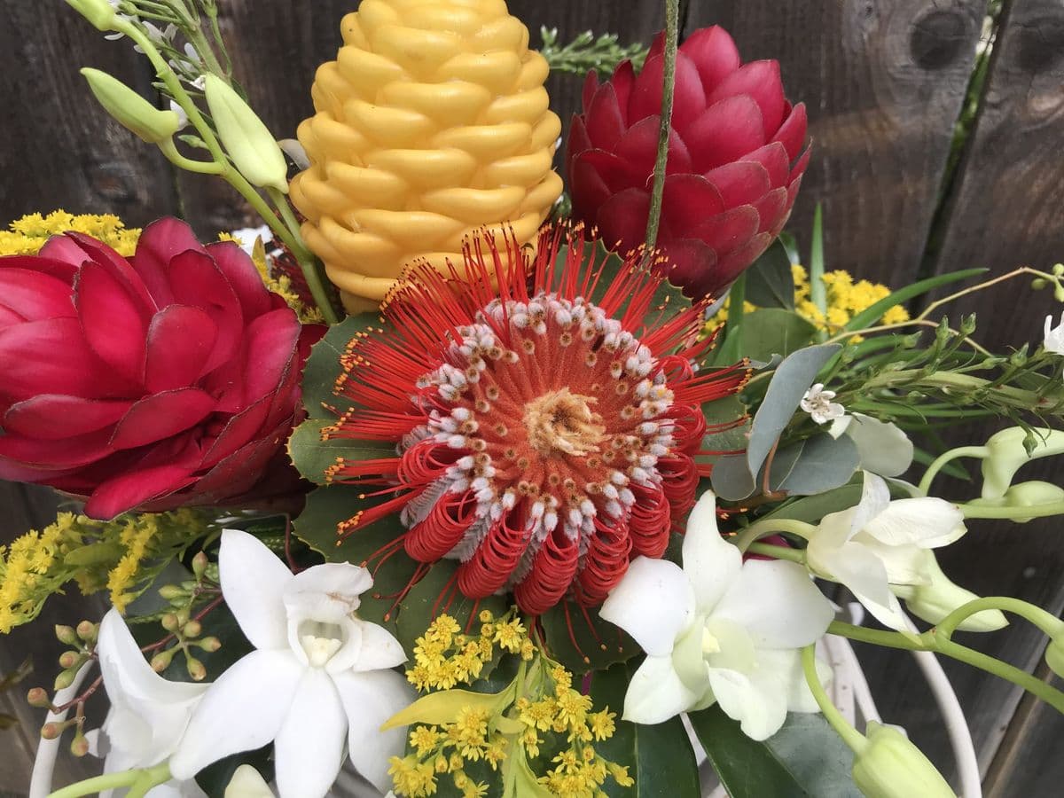 Maui Blooms