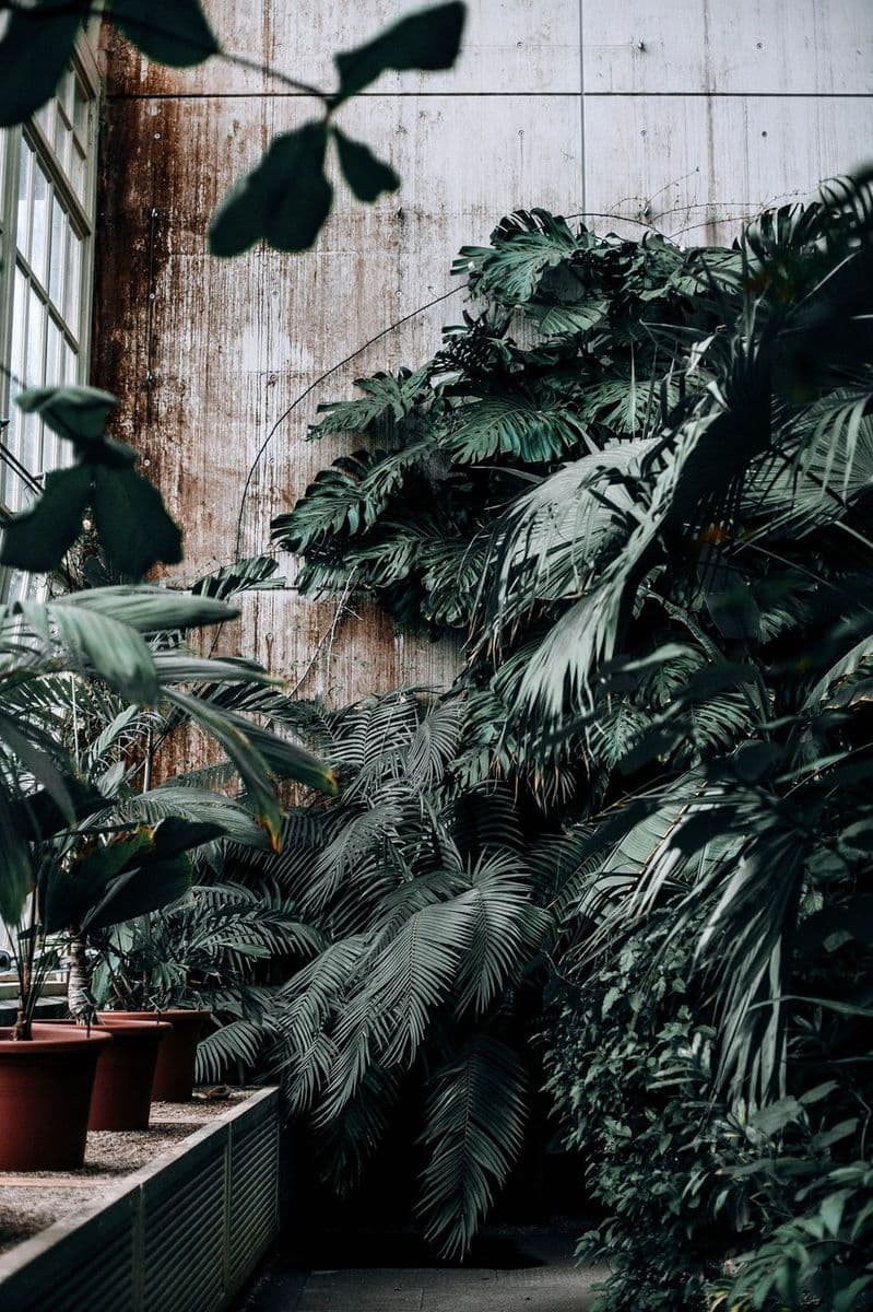 Mauna Understory LLC