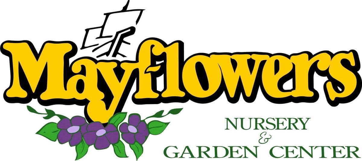 Mayflowers Nursery & Garden