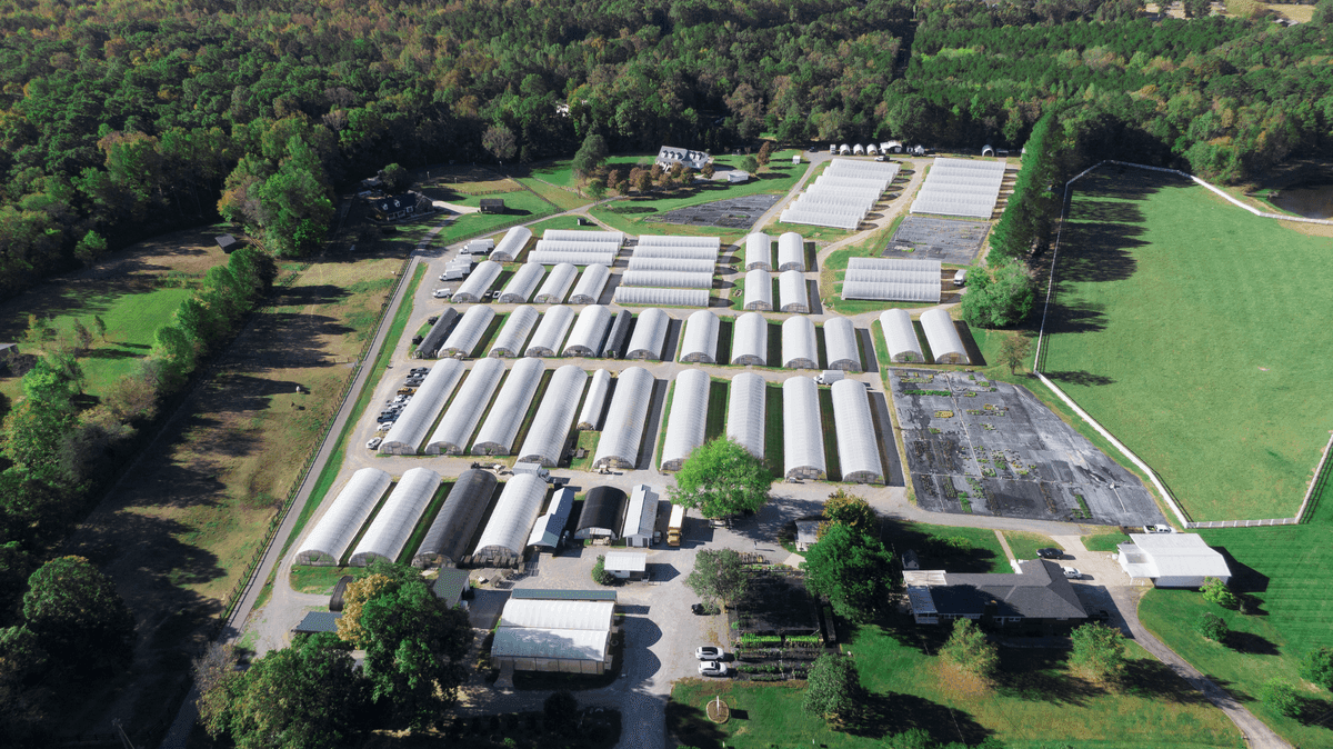 McAllister Greenhouses, Inc
