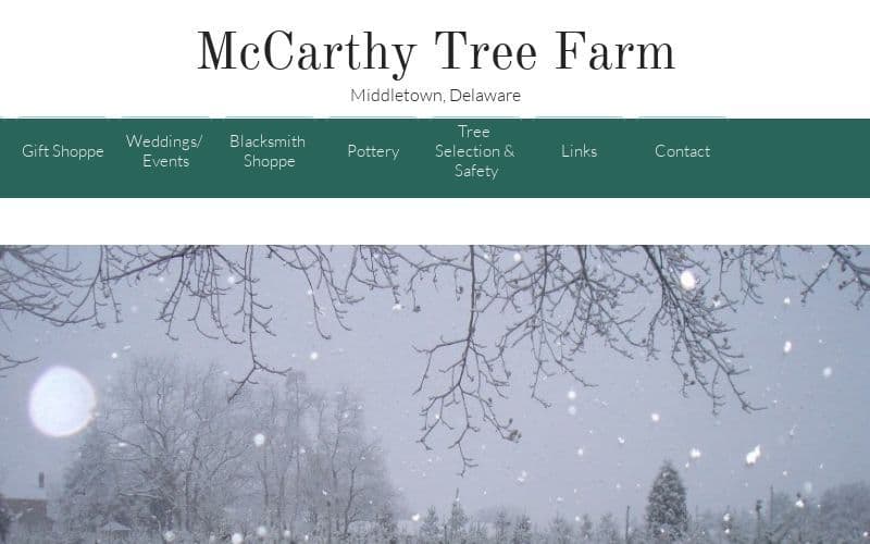 McCarthy Tree Farm