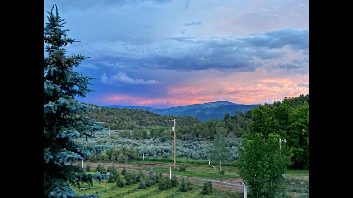 McCoy Tree Farm - Tree Nursery in Steamboat Springs, CO