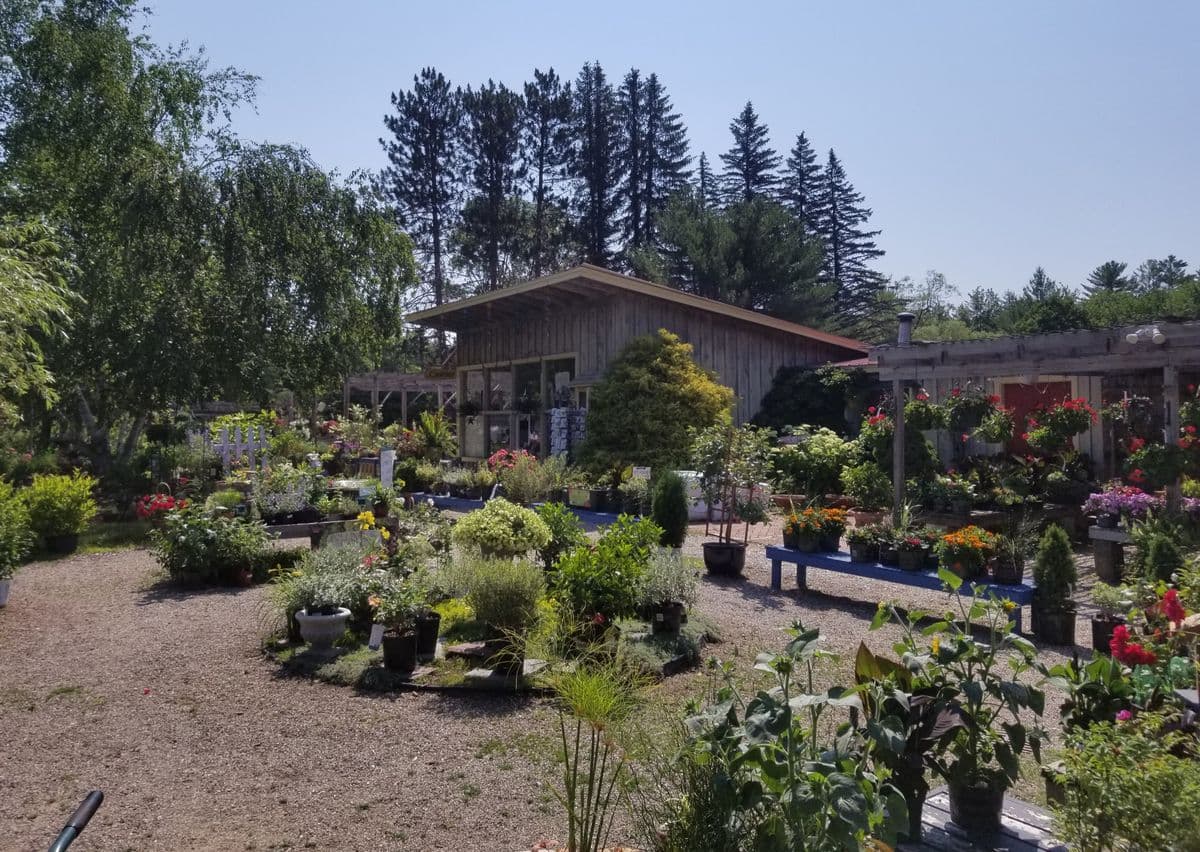 McSherry's Nursery & Garden Center
