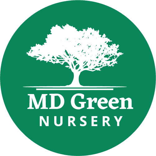 MD Green Nursery - Trees & Shrubs