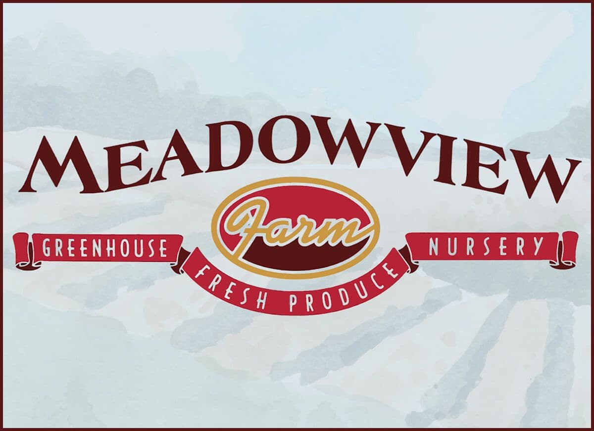 Meadow View Farm