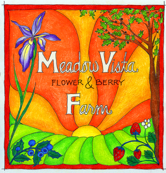 Meadow Vista Flower & Berry Farm