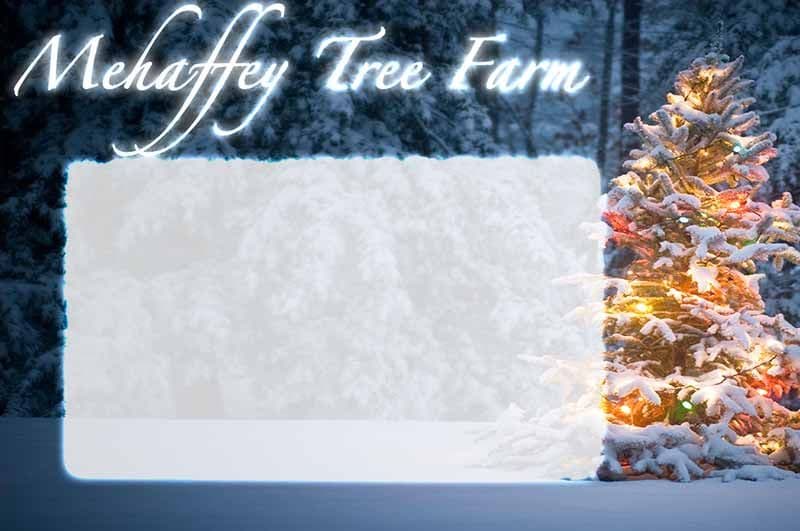 Mehaffey Tree Farm