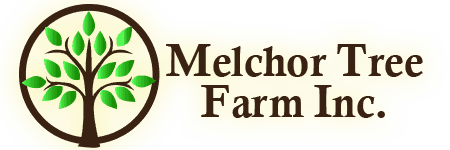 Melchor Tree Farm Inc