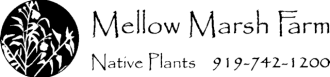 Mellow Marsh Farm