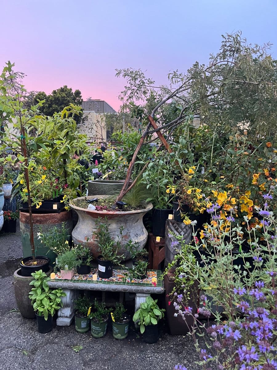 Merrihew's Sunset Gardens